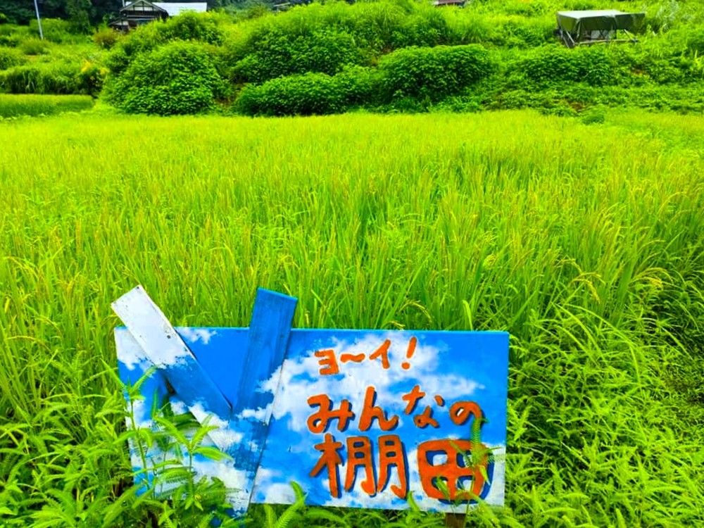 通い農フェスinまつだい