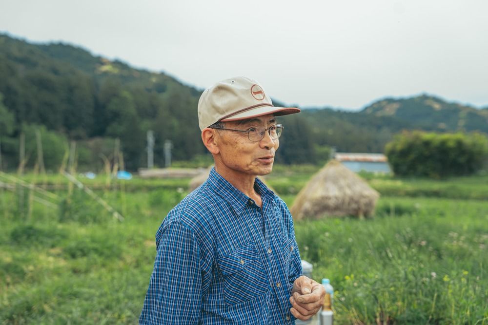 7月4日｜土づくりと命を育てる田んぼ