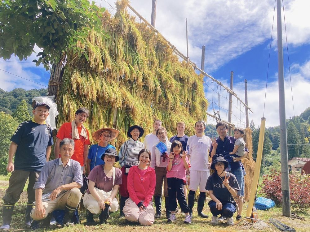 稲刈り＆はさがけ