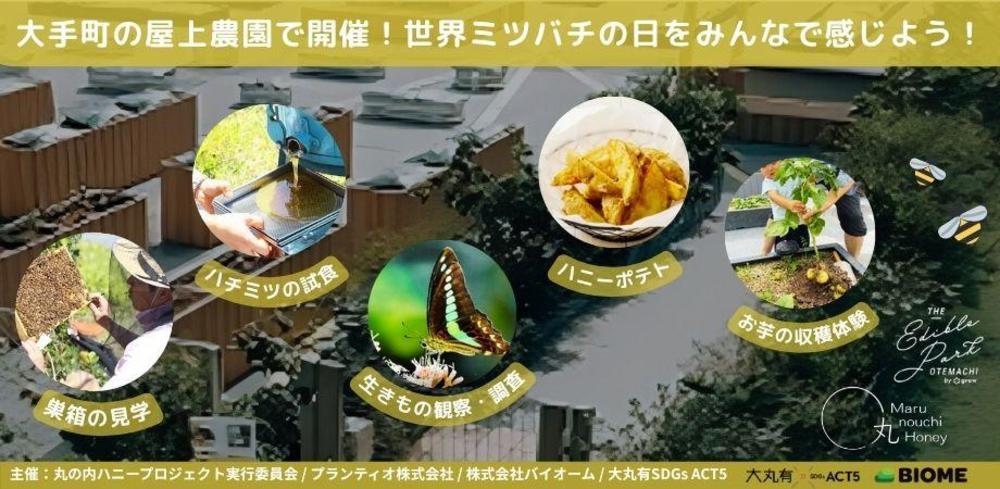 大手町の屋上農園で開催！世界ミツバチの日をみんなで感じよう！