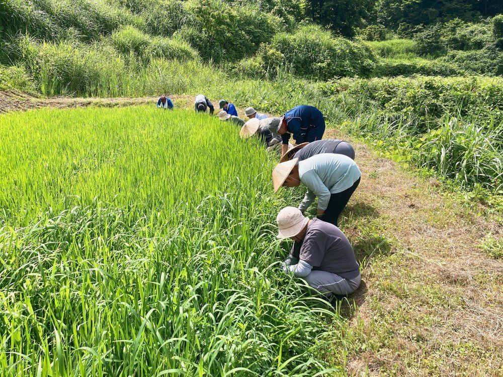 ジョソササイズ夏の陣②~ニーム散布など。夜は松代観音祭で花火を打ち上げよう~