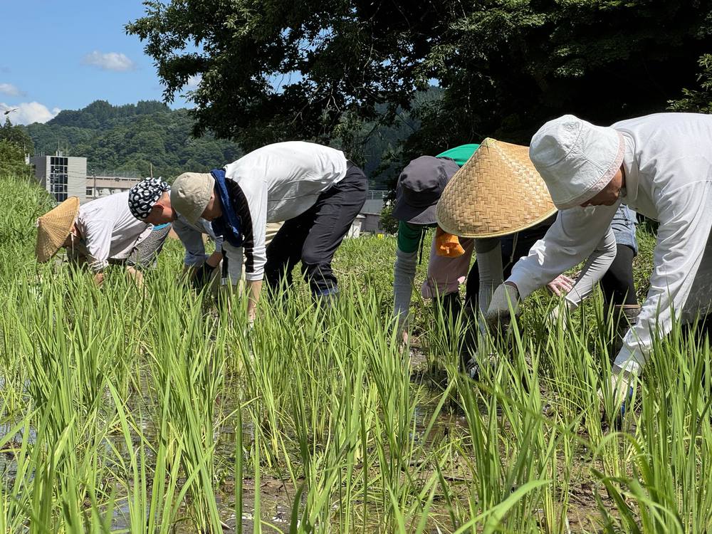 ジョソササイズ夏の陣①~畔刈り講習~ 